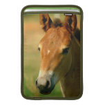 Filly 11" MacBook Sleeve