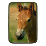 Filly 13" MacBook Sleeve