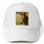 Filly Baseball Cap hats