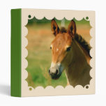 Filly Binder