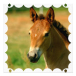Filly Horse Invitation