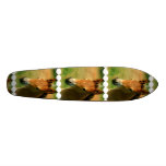Filly Horse Skateboard