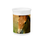 Filly Pitcher