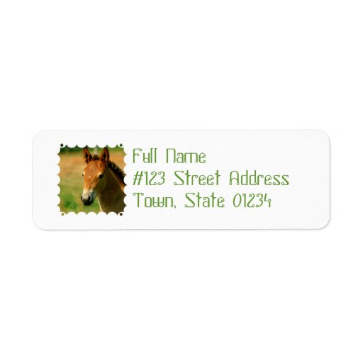 Filly Return Address Label