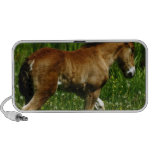 Filly Speakers