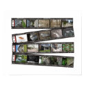 Film Strip 2003-04 Wall Print by wislander Film Strip 2003-04 Wall Print