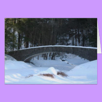 Filmore Glen winter cards