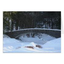 Filmore Glen winter cards