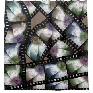 Filmstrip Flower Tones