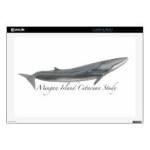 Fin whale 17" laptop skins