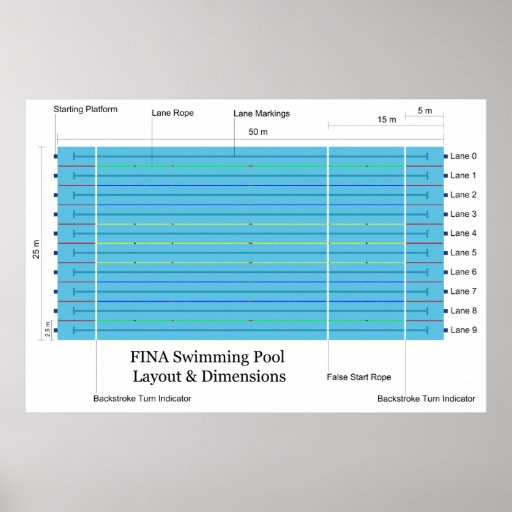 FINA Long Course Swimming Pool Standard Chart Poster Zazzle