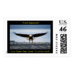 Final Approach Bald Eagle Large Postage Stamp