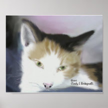 Final Purrisa Poster