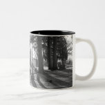 Final Sunset (b&w) Mug