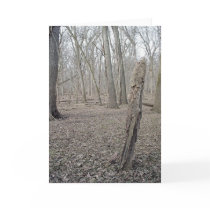 Final Watch greeting card by wislander Final Watch greeting card