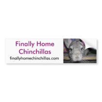 Finally Home Chinchillas Bumper Sticker, Esther