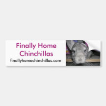 Finally Home Chinchillas Bumper Sticker, Esther
