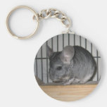Finally Home Chinchillas: Cheeko Key Chains