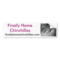 Finally Home Chinchillas, Chilli Bumper Sticker
