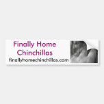 Finally Home Chinchillas, Chilli Bumper Sticker