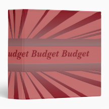 Financial Budget Binder