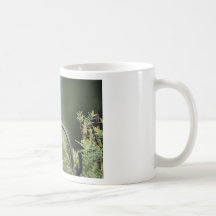 Finch Coffee Mugs