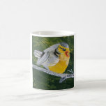 Finch Coffee Mugs