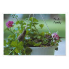 postcard - This family of Finches nested in our hanging basket of pink geraniums, right outside our front door one summer.  Here the Mom and Dad perch on opposite sides of the basket while the babies wait with mouths open.