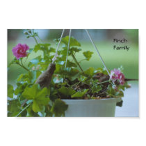 Finch Family - poster posters