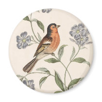 Finch from Junglewalk magnets by junglewalkcom Finch from Junglewalk magnets