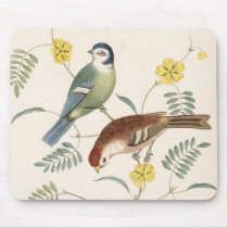 Finch from Junglewalk mousepads by junglewalkcom Finch from Junglewalk mousepads