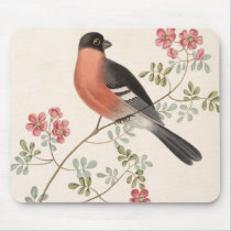 Finch from Junglewalk mousepads by junglewalkcom Finch from Junglewalk mousepads