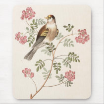 Finch from Junglewalk mousepads by junglewalkcom Finch from Junglewalk mousepads