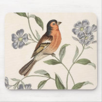 Finch from Junglewalk mousepads by junglewalkcom Finch from Junglewalk mousepads