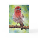 Finch, Greeting Card by artbyjolyn Finch, Greeting Card