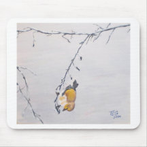 Finch in Winter Mousepads