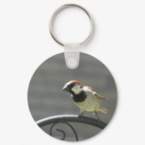finch keychains by pinkypetals finch keychains