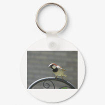 finch keychains by pinkypetals finch keychains