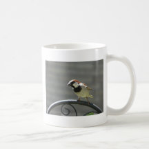 finch mugs