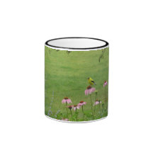 Finch on a flower coffee mugs