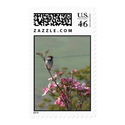 Finch on Dogwood 02 Stamps by Lunatique1968