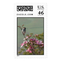 Finch on Dogwood 02 postage