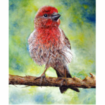 Finch Photo Sculpture photo sculptures by artbyjolyn Finch Photo Sculpture photo sculptures