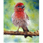 Finch Photo Sculpture