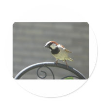 finch stickers