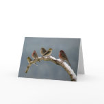 Finches Christmas card