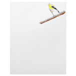 Finches Letterhead