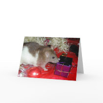 Finch's Parcel cards by rattycorner Finch's Parcel cards