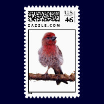 Finchy Postage postage