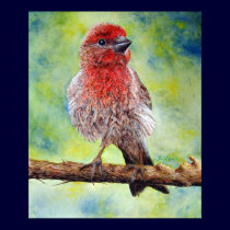 Finchy Print by artbyjolyn Finchy Print